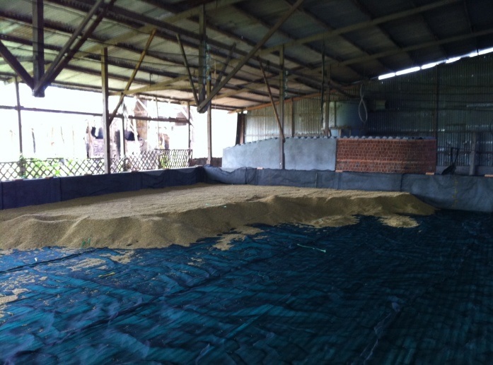 catalogue cac thiet bi trong lo say lua 4