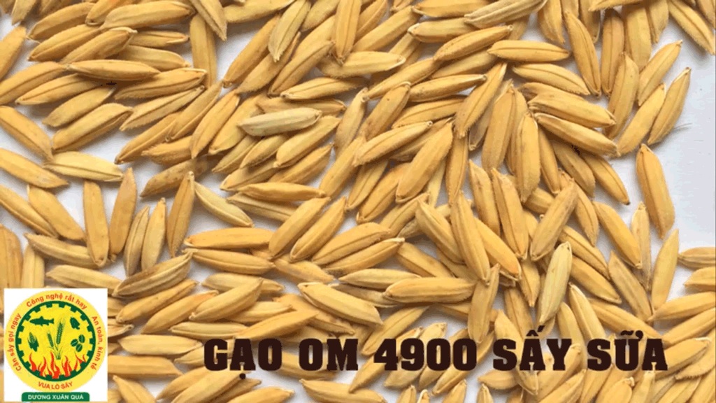 gao 4900 say sua do am nho hon 12 ty le tam nho hon 3 2