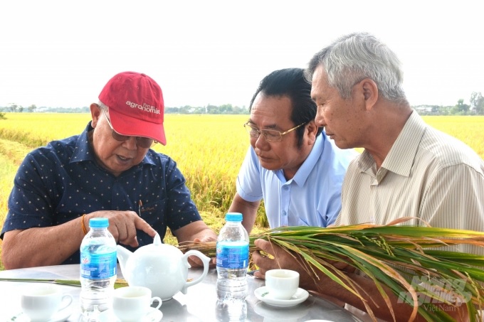 gao sua duong xuan qua 1