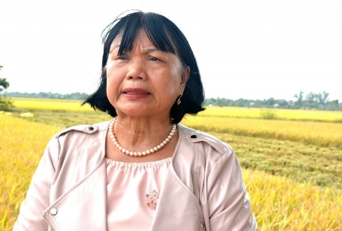 gao sua duong xuan qua 2