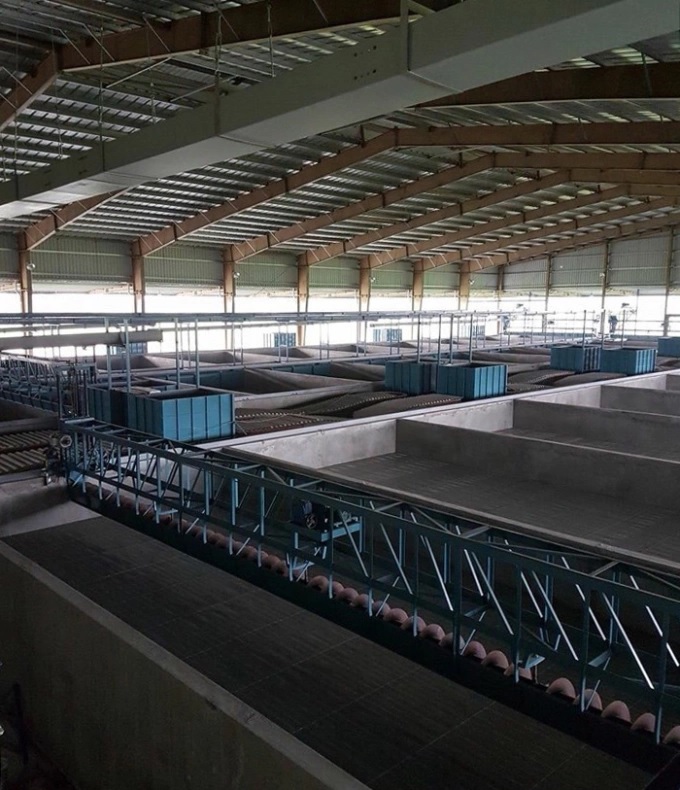 hai lua che tao lo say xuat khau 2