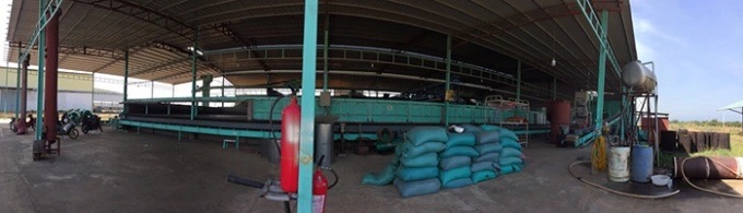 hai lua che tao lo say xuat khau 4