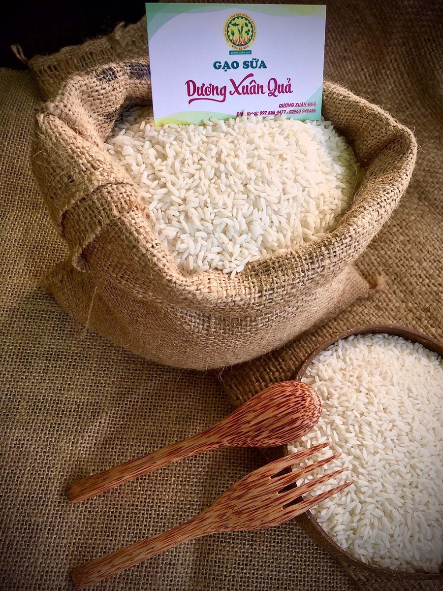 tai sao gao sua duong xuan qua lai co gia cao nhu vay 1