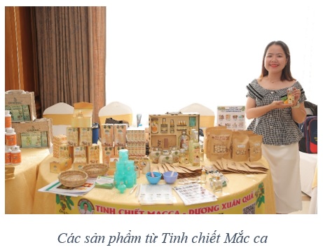 tinh chiet mắc ca duong xuan qua cuu tinh cho da va toc 1