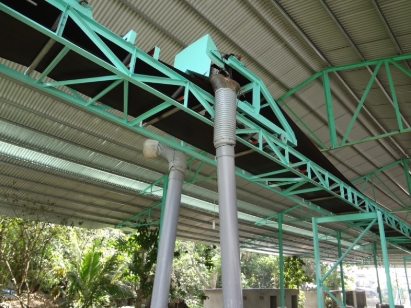 bang-tai-duong-xuan-qua-3